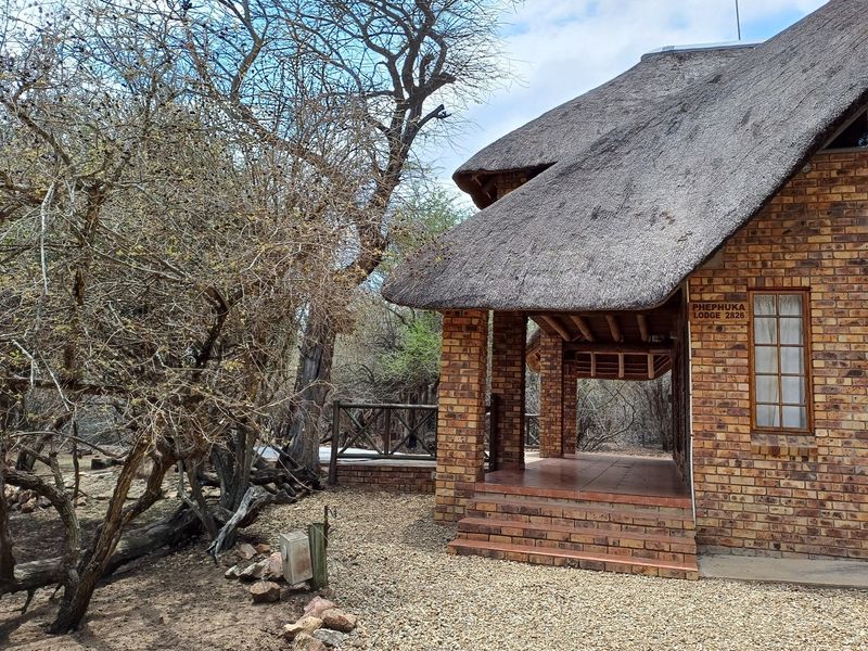 A charming lodge-style home featuring a traditional thatch roof, face brick exterior, and a covered entrance porch set within a natural bushveld environment.