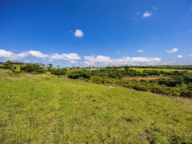 A wide-angle view of the expansive, naturally landscaped residential vacant land featuring indigenous vegetation and open green space.