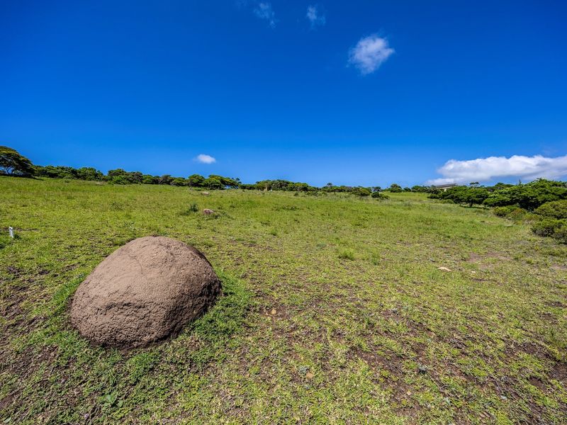 A wide-angle view of a vacant residential plot featuring natural grass, native vegetation, and a large boulder under a clear blue sky.