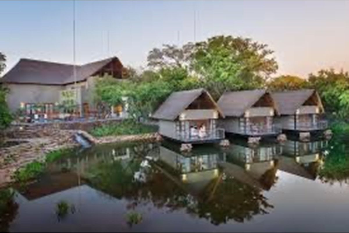 A scenic view of luxury waterfront chalets with thatched roofs, set against a tranquil pond and lush natural surroundings.