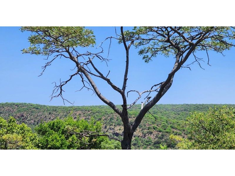 Intaba-Indle - Spectacular cliff and  mountain  views - Vacant land - Tar Roads - Photo 10