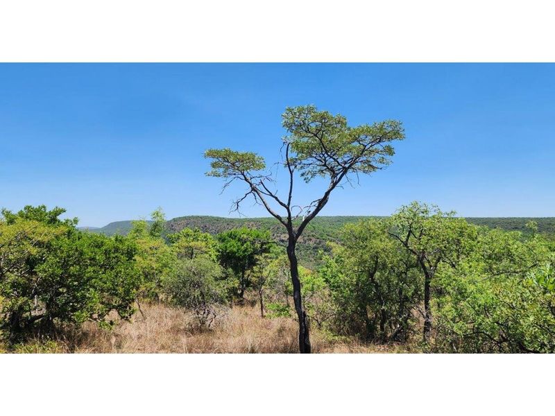 Intaba-Indle - Spectacular cliff and  mountain  views - Vacant land - Tar Roads - Photo 9