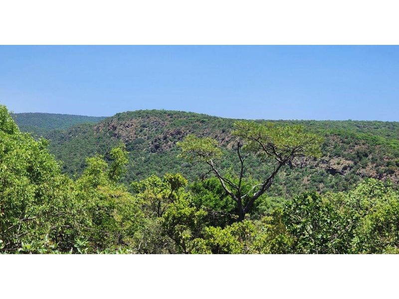 Intaba-Indle - Spectacular cliff and  mountain  views - Vacant land - Tar Roads - Photo 7