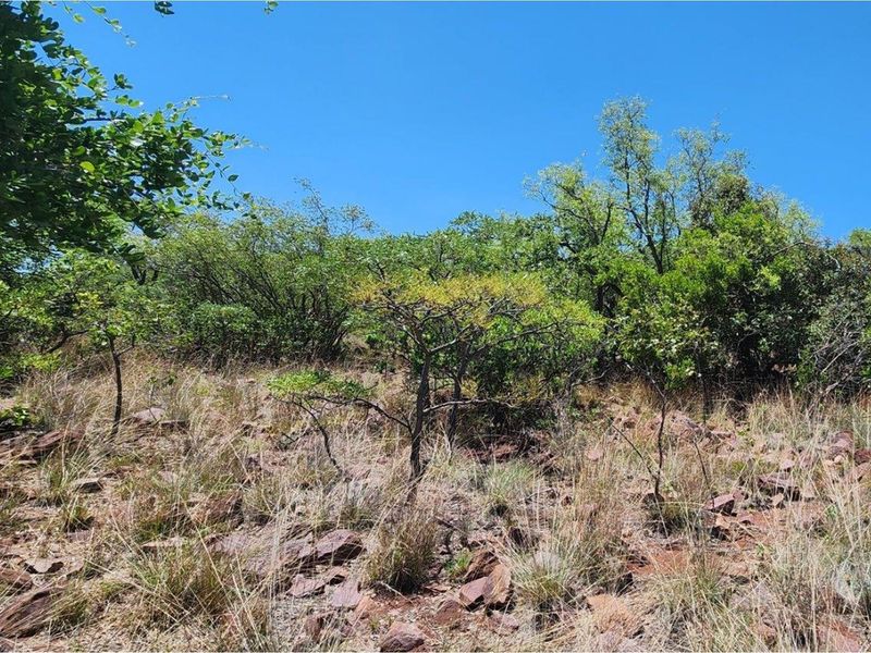 Intaba-Indle - Spectacular cliff and  mountain  views - Vacant land - Tar Roads - Photo 8