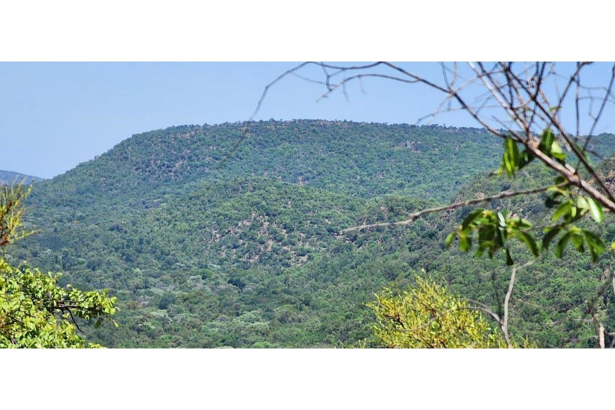 Intaba-Indle - Spectacular cliff and  mountain  views - Vacant land - Tar Roads - Photo 2