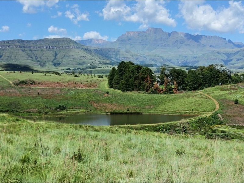 Inkungu Homestead - Elegant Country Retreat in Champagne Valley, Drakensberg - Photo 2