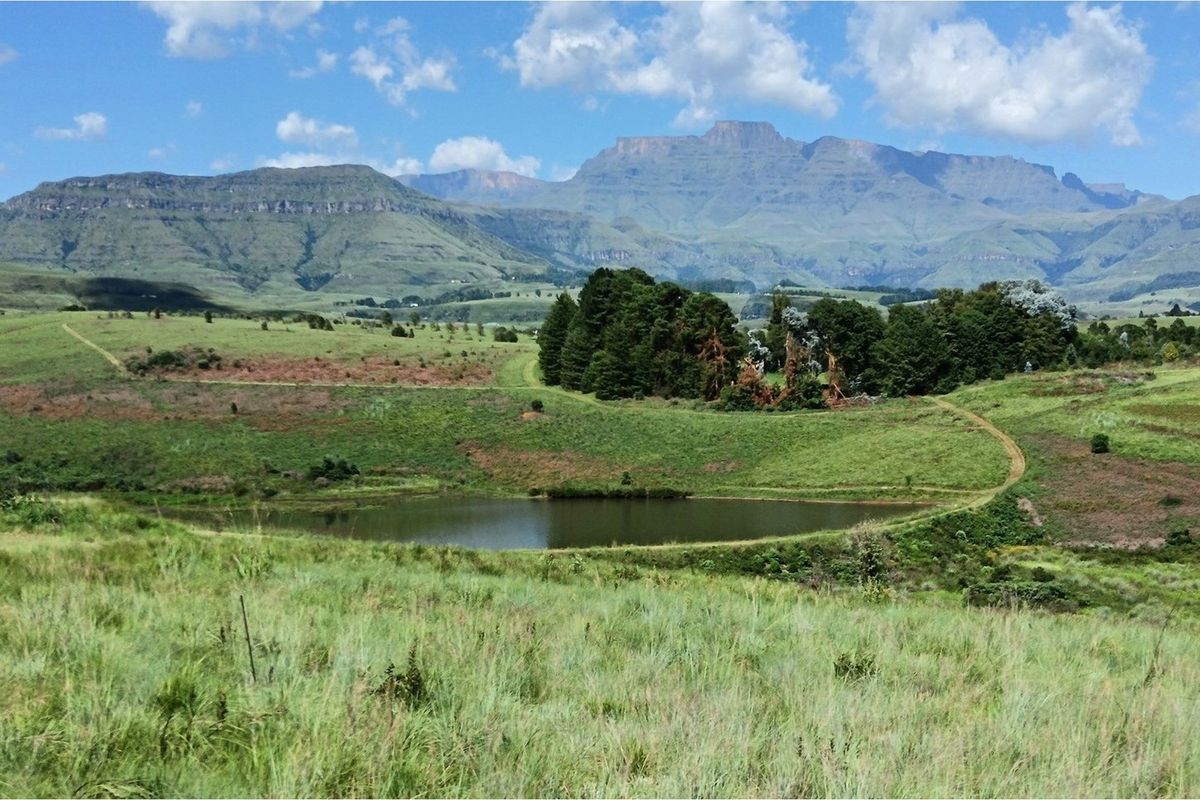 Inkungu Homestead - Elegant Country Retreat in Champagne Valley, Drakensberg - Photo 2