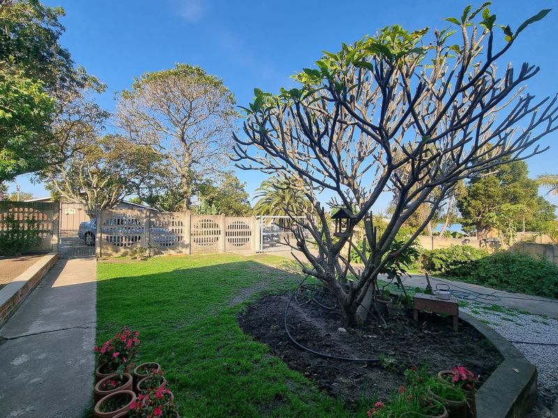 Lovely 4-Bedroom Family Home for Sale in Humansdorp - Photo 3