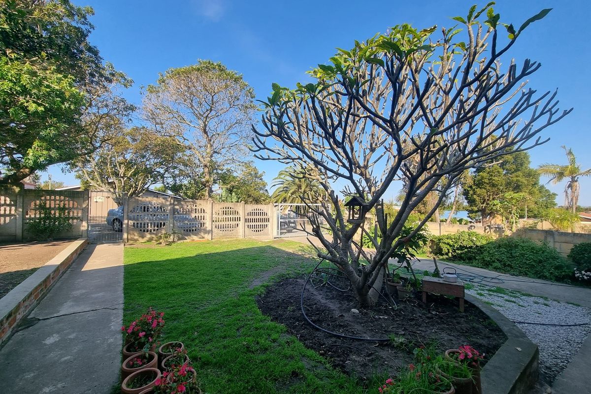 Lovely 4-Bedroom Family Home for Sale in Humansdorp - Photo 3