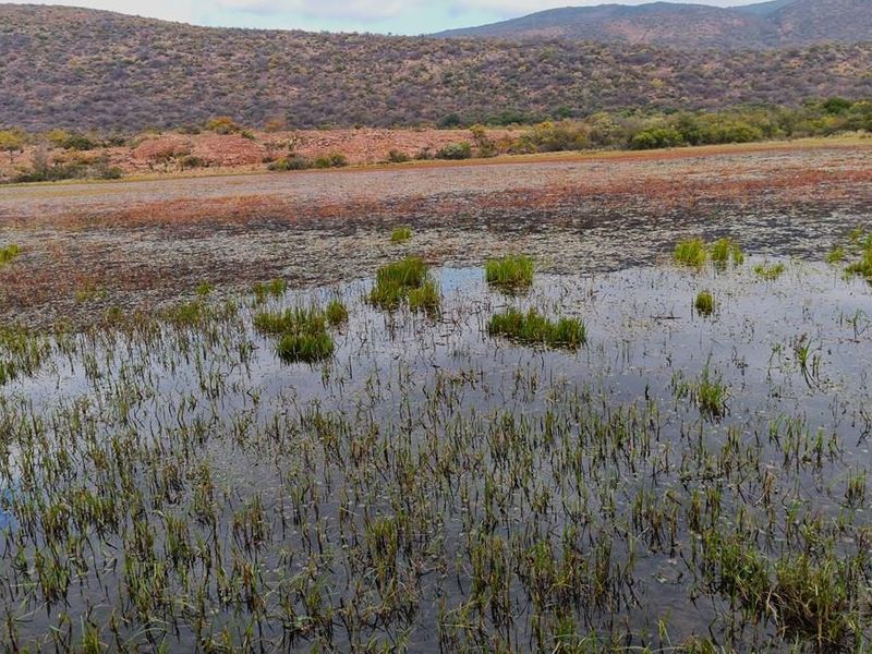 Exceptional 494 ha game farm in the Soutpansberg in Louis Trichardt for sale. - Photo 5