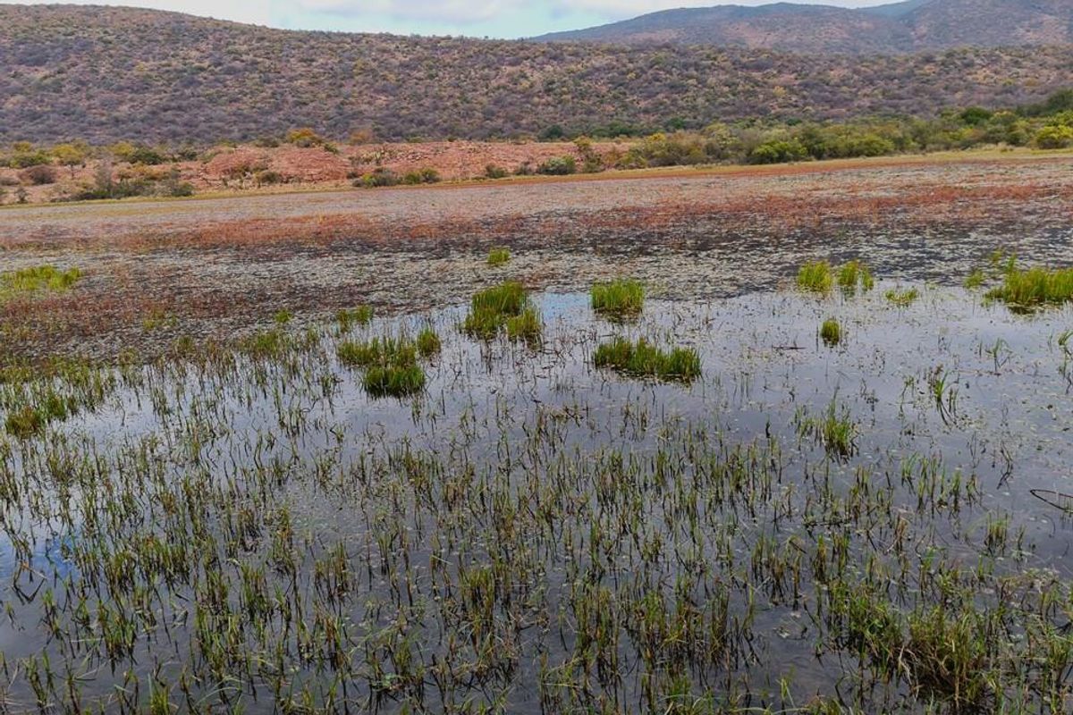 Exceptional 494 ha game farm in the Soutpansberg in Louis Trichardt for sale. - Photo 5