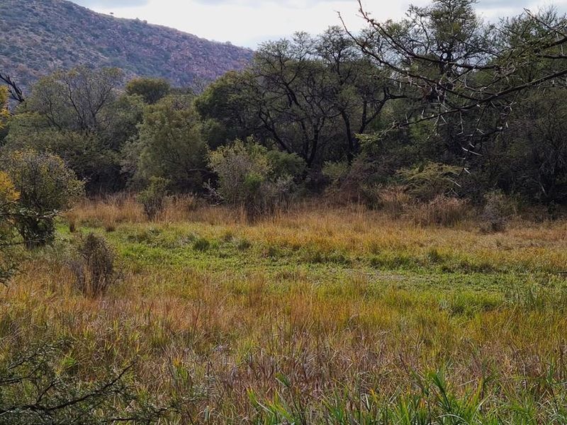 Exceptional 494 ha game farm in the Soutpansberg in Louis Trichardt for sale. - Photo 10