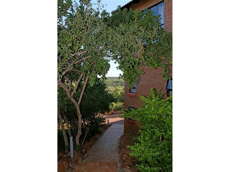 Thaba Moriri - Five bedroom house breathtaking views - House and large separate flat-PET FRIENDLY - Photo 7