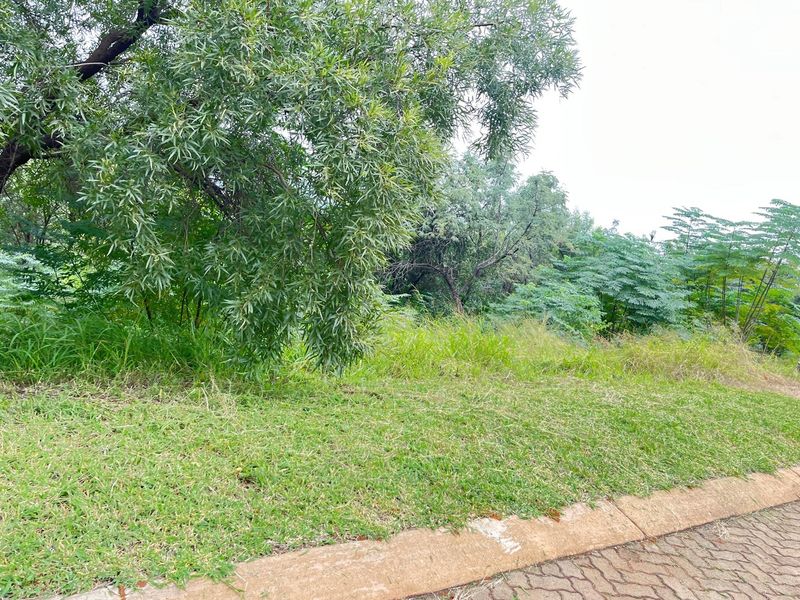 A view of a vacant residential plot featuring established trees, natural vegetation, and a paved street curb.