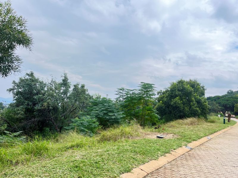 A view of a vacant residential plot featuring established trees, natural vegetation, and a paved road frontage.