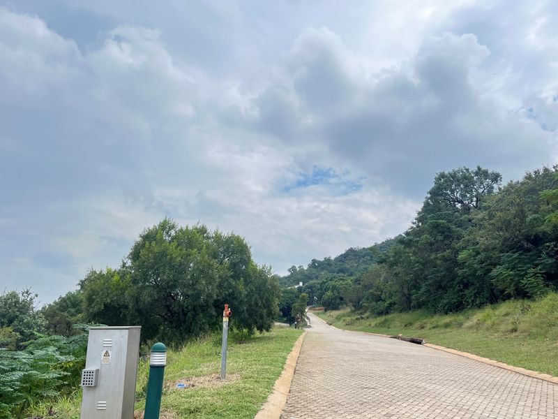 A paved driveway leading up a gentle slope, surrounded by established trees and natural vegetation, providing access to the residential land.
