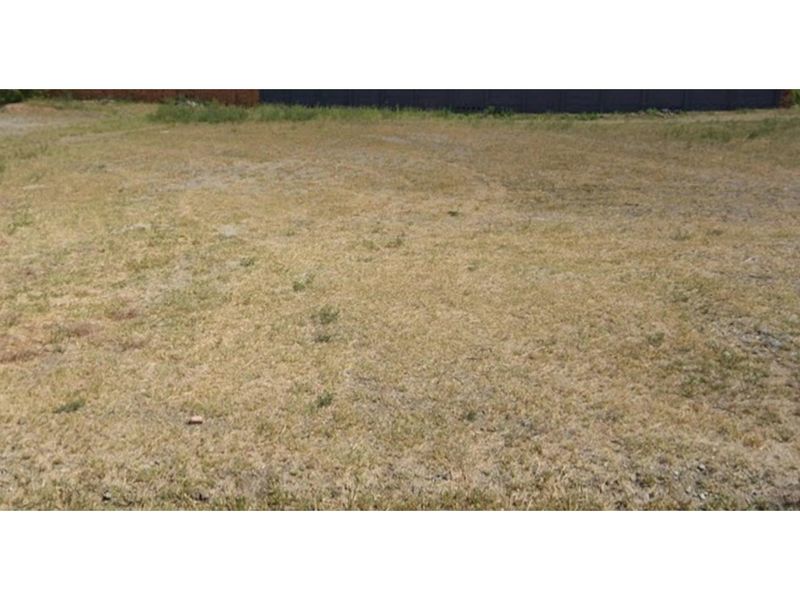 Location Location Location, Dekroon Villa is the place to be! - Photo 6