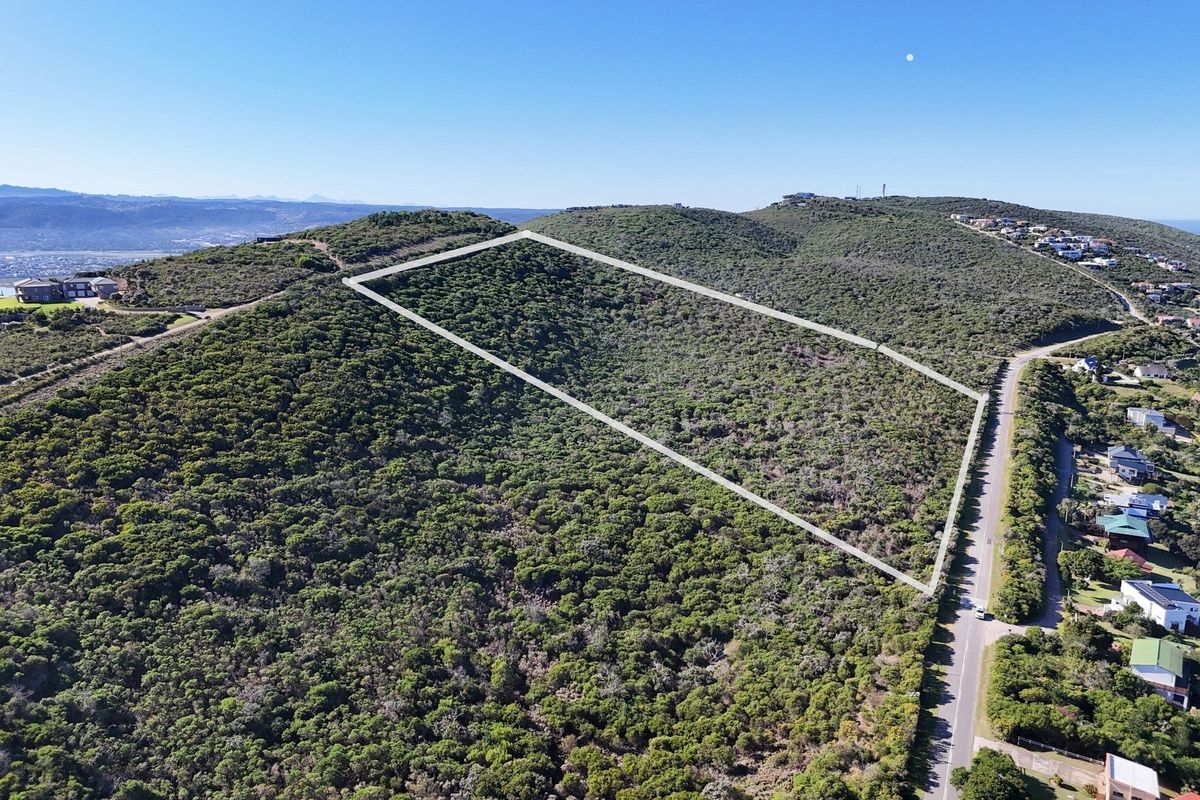 Panoramic Ocean-View Stand in Brenton-on-Sea’s Prestigious Western Head Conservancy - Photo 2