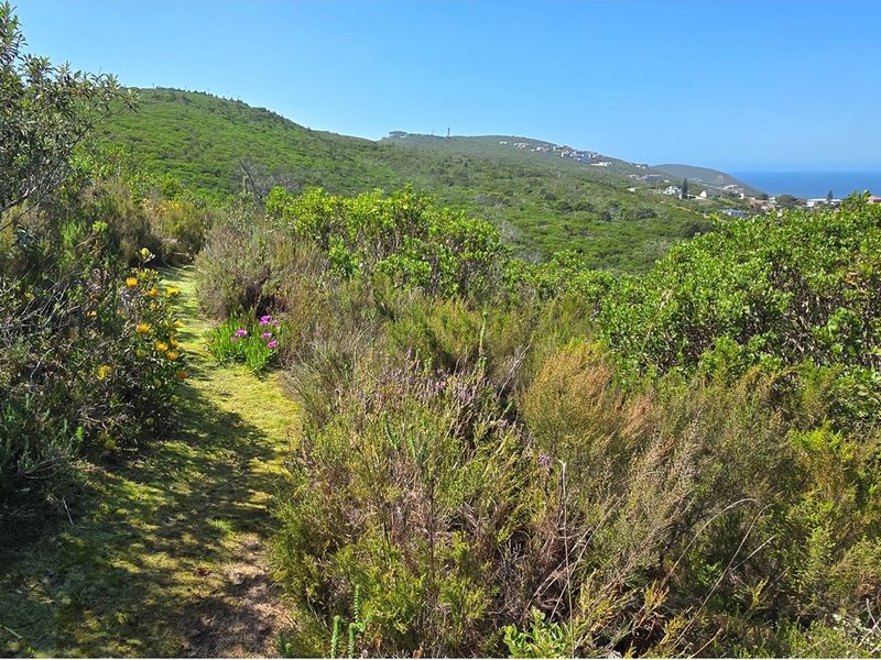 Panoramic Ocean-View Stand in Brenton-on-Sea’s Prestigious Western Head Conservancy - Photo 5