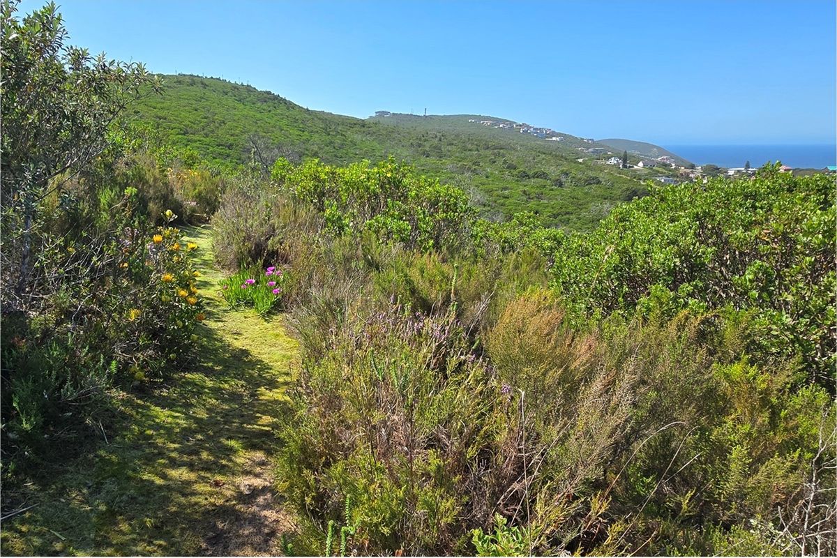 Panoramic Ocean-View Stand in Brenton-on-Sea’s Prestigious Western Head Conservancy - Photo 5
