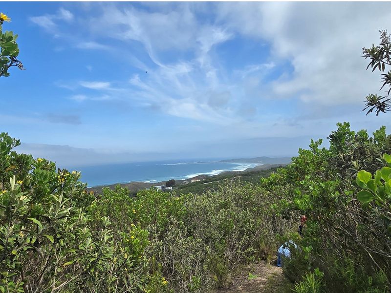Panoramic Ocean-View Stand in Brenton-on-Sea’s Prestigious Western Head Conservancy - Photo 7