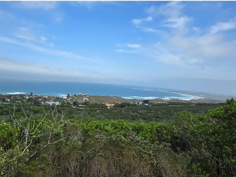 Panoramic Ocean-View Stand in Brenton-on-Sea’s Prestigious Western Head Conservancy - Photo 6