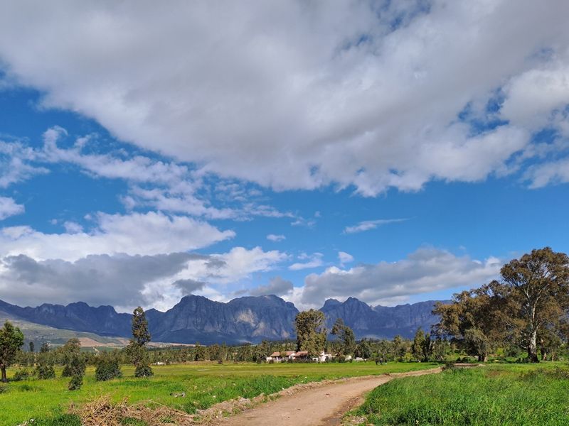 Prime Development Land for Low-Cost Housing (Needs Rezoning) - Photo 6