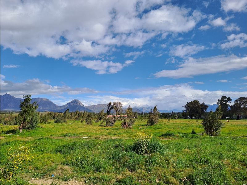 Prime Development Land for Low-Cost Housing (Needs Rezoning) - Photo 5