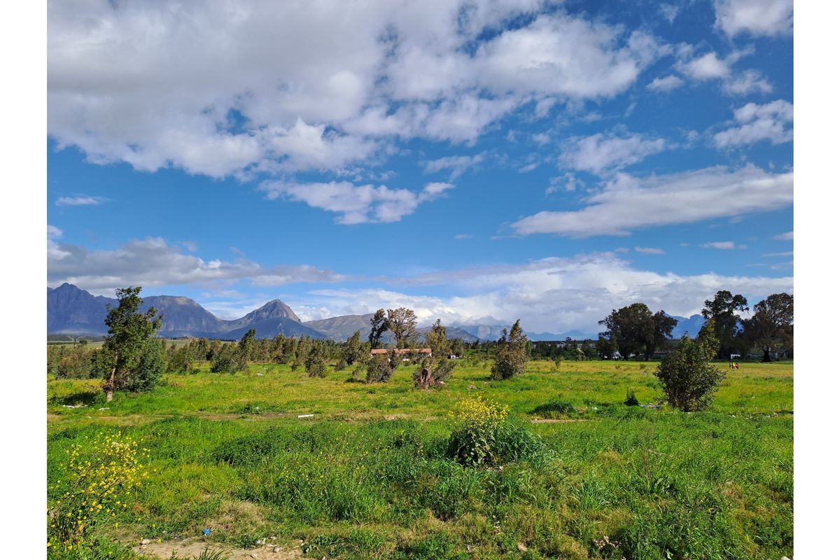 Prime Development Land for Low-Cost Housing (Needs Rezoning) - Photo 5