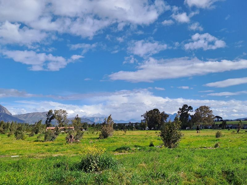 Prime Development Land for Low-Cost Housing (Needs Rezoning) - Photo 3