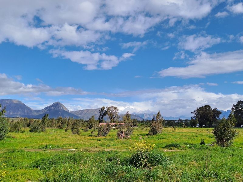 Prime Development Land for Low-Cost Housing (Needs Rezoning) - Photo 4