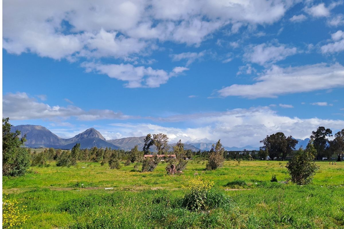 Prime Development Land for Low-Cost Housing (Needs Rezoning) - Photo 4