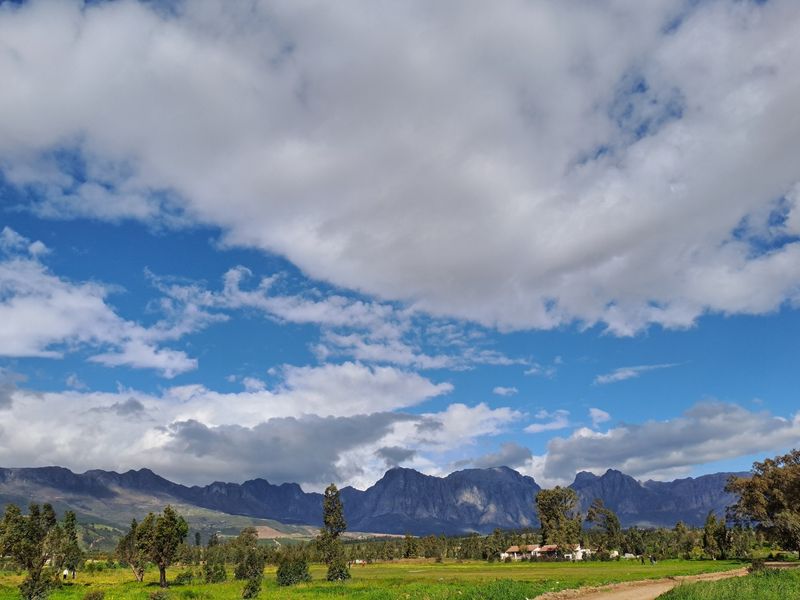 Prime Development Land for Low-Cost Housing (Needs Rezoning) - Photo 7