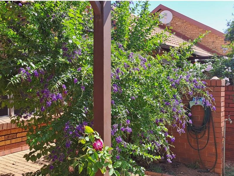 2 Bedroom Charming Retirement village in the heart of Montana - Photo 5