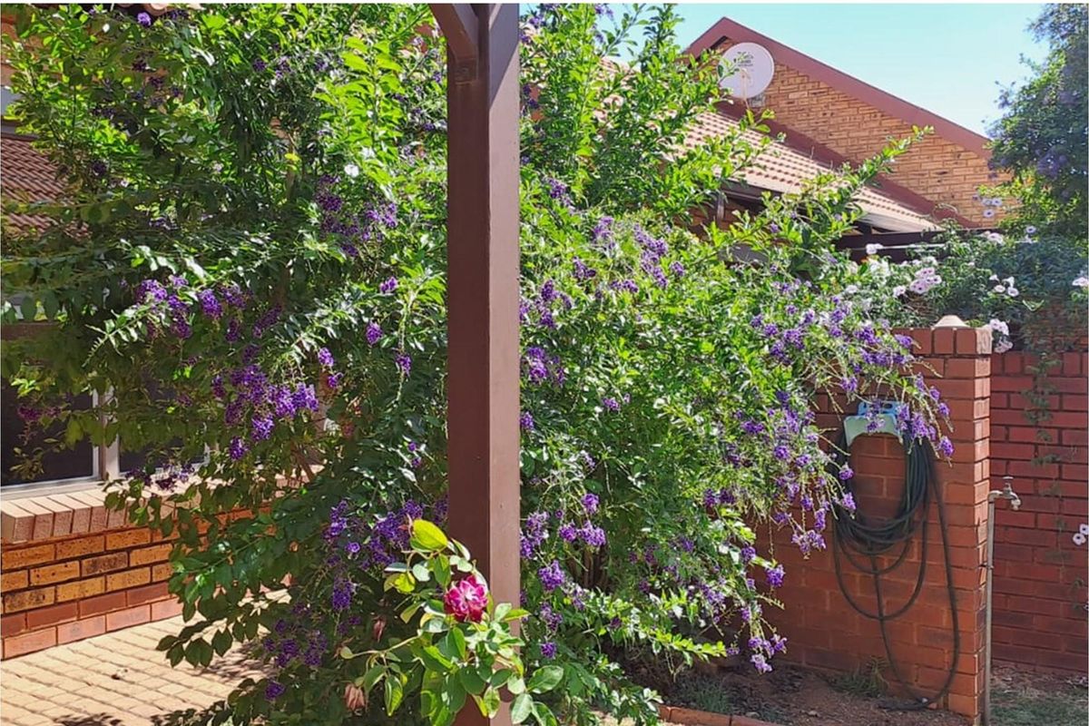 2 Bedroom Charming Retirement village in the heart of Montana - Photo 5