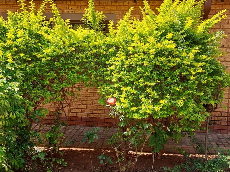 2 Bedroom Charming Retirement village in the heart of Montana - Photo 3