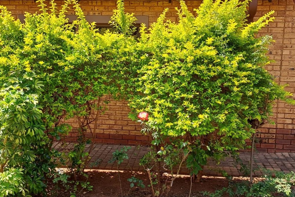 2 Bedroom Charming Retirement village in the heart of Montana - Photo 3