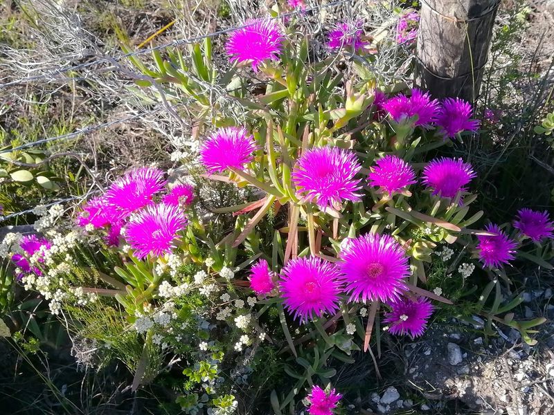 Vacant land with breathtaking views of the Goukou river. - Photo 5