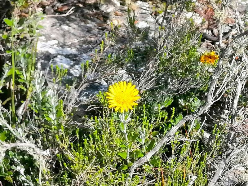 Vacant land with breathtaking views of the Goukou river. - Photo 7