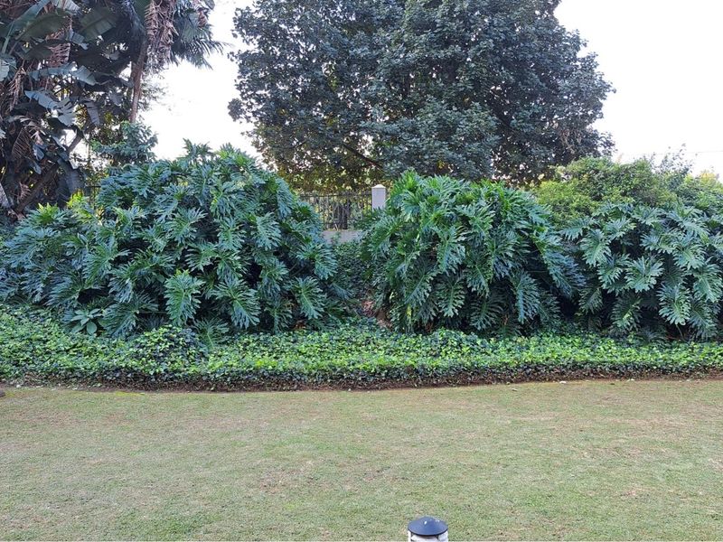 CHASE VALLEY STUNNER! - Photo 2