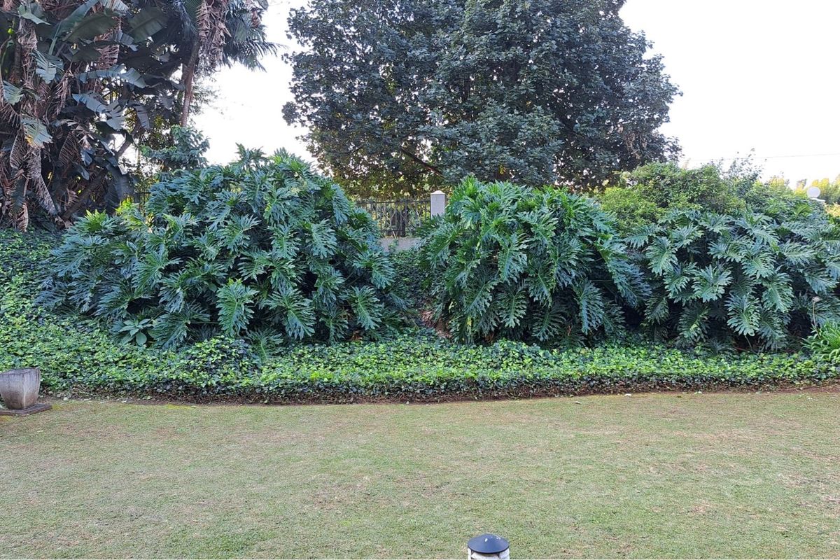 CHASE VALLEY STUNNER! - Photo 2