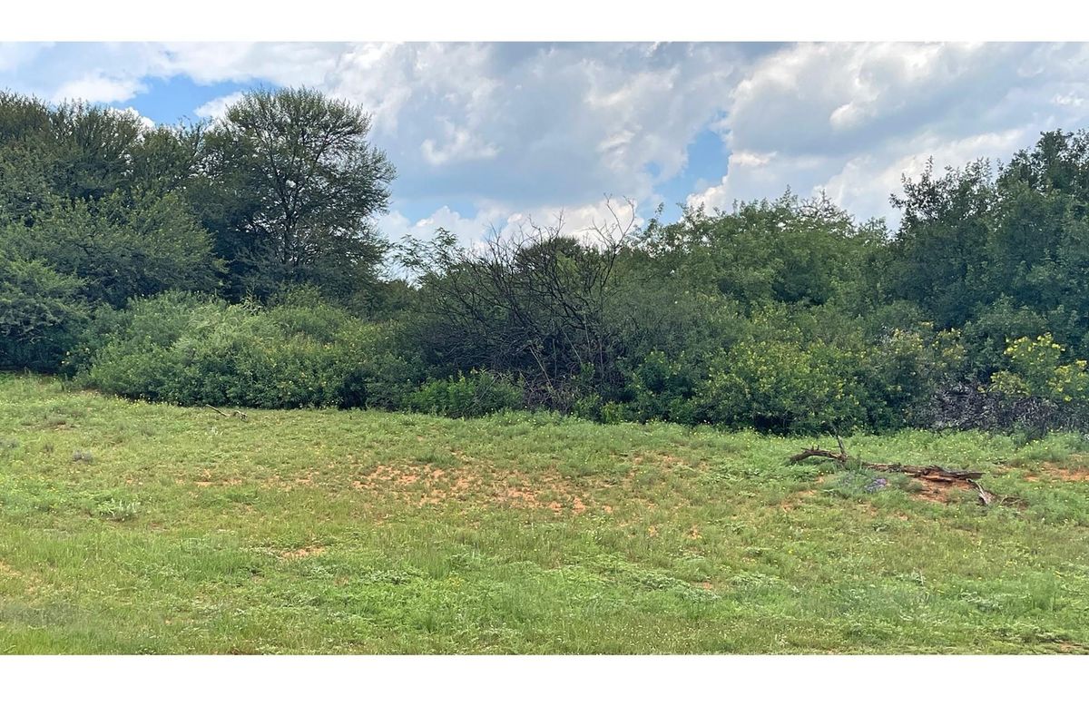 A view of the vacant residential land featuring natural grass cover and established indigenous trees and shrubs.