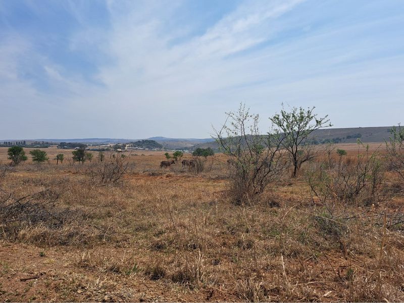 Vacant Land in Exclusive Letamo Game Farm - Cradle of Humankind close to Krugersdorp - Photo 6
