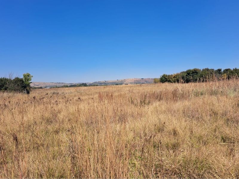 Vacant Land in Exclusive Letamo Game Farm - Cradle of Humankind close to Krugersdorp - Photo 4