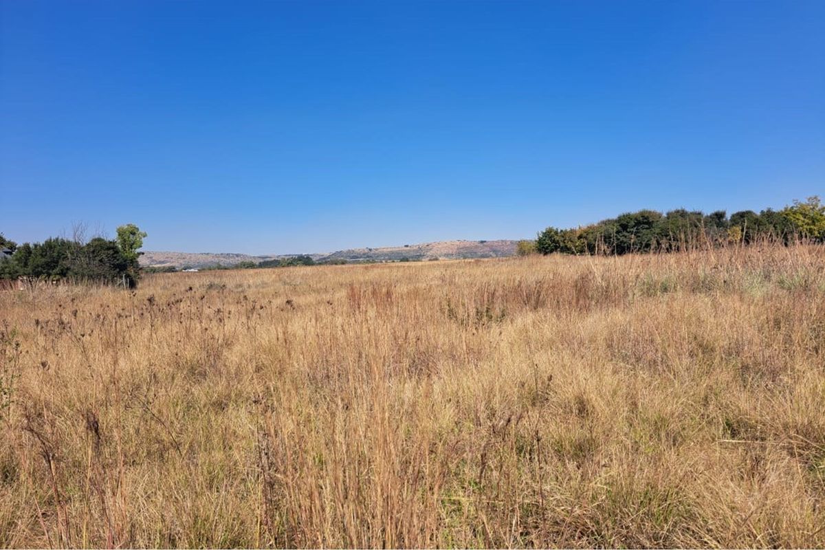 Vacant Land in Exclusive Letamo Game Farm - Cradle of Humankind close to Krugersdorp - Photo 4