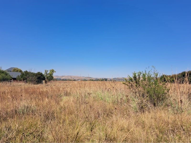 Vacant Land in Exclusive Letamo Game Farm - Cradle of Humankind close to Krugersdorp - Photo 5