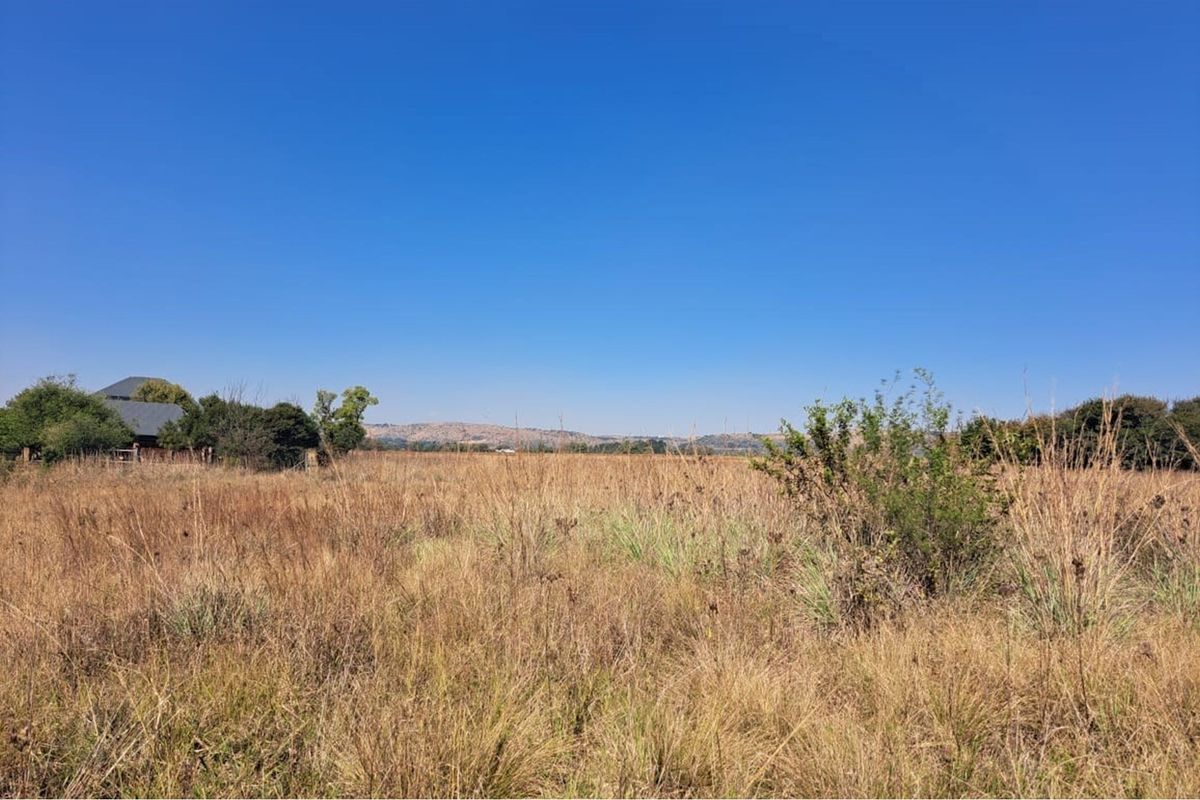 Vacant Land in Exclusive Letamo Game Farm - Cradle of Humankind close to Krugersdorp - Photo 5