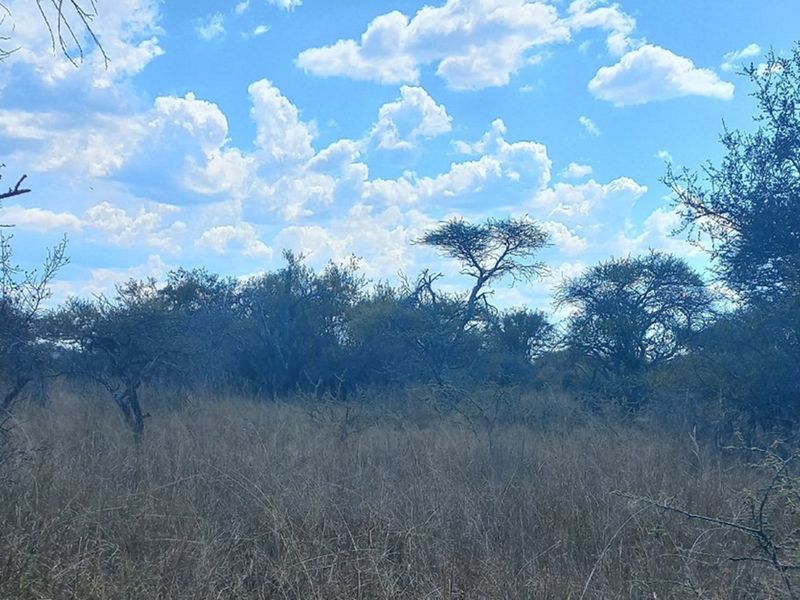 PRICED TO GO!  21 HECTARE FARM NEAR MOOKGOPHONG - Photo 2