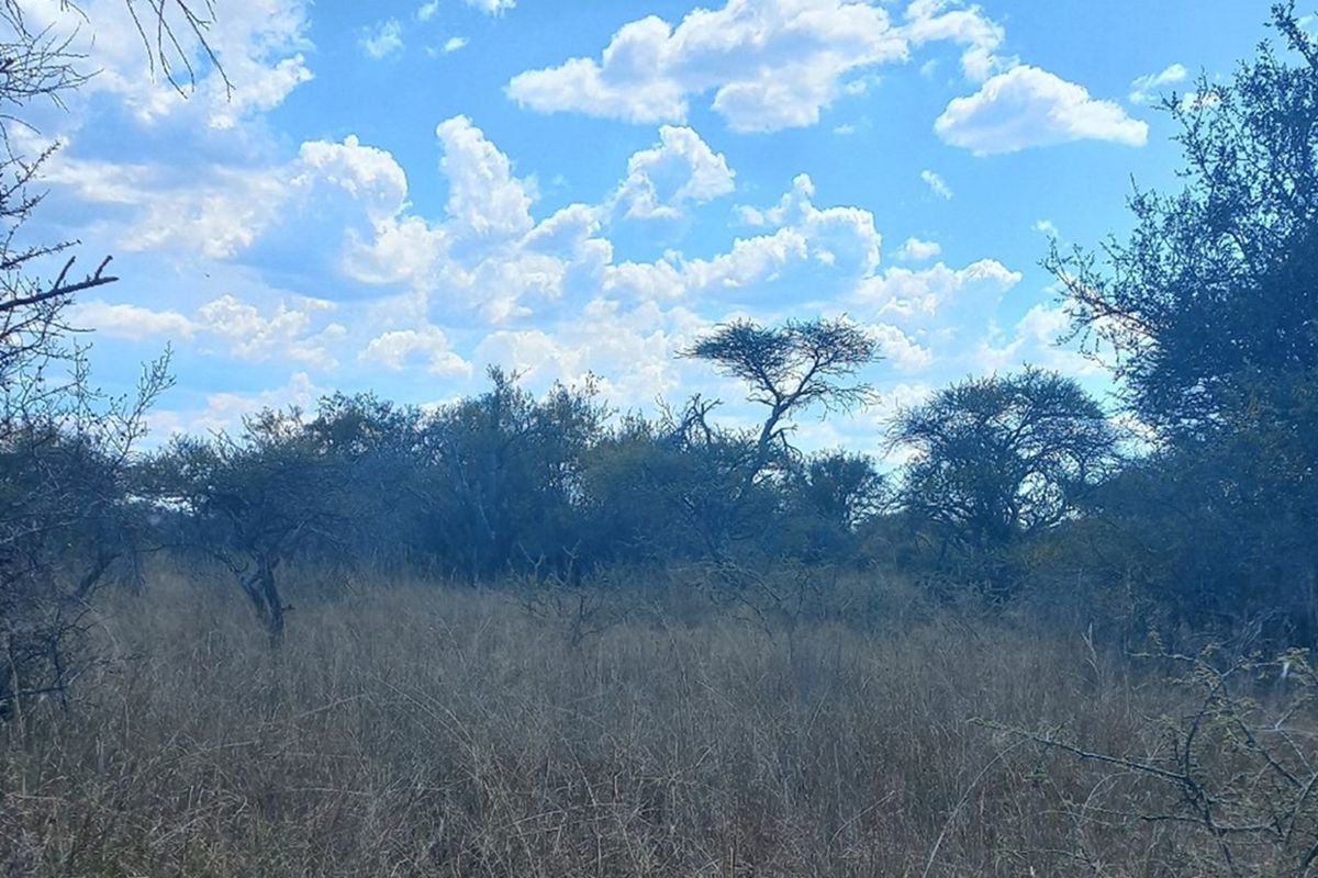 PRICED TO GO!  21 HECTARE FARM NEAR MOOKGOPHONG - Photo 2