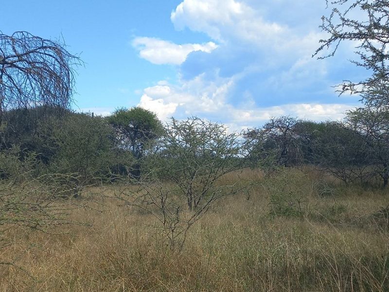 PRICED TO GO!  21 HECTARE FARM NEAR MOOKGOPHONG - Photo 3